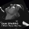 SAM SPARRO - I Wish I Never Met You